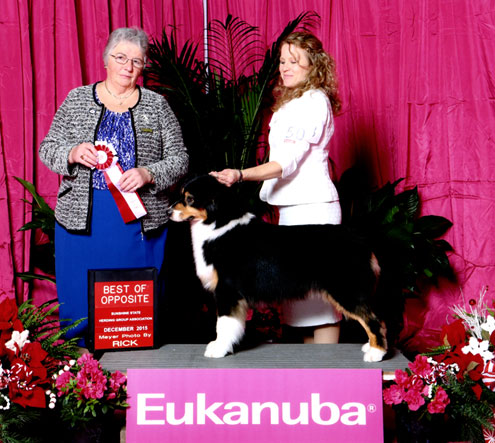 December 2015 Parr Eukanuba Best of Opposite