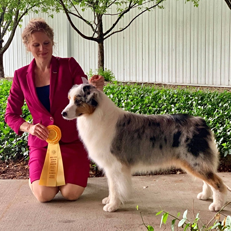 AKC/ASCA CH Vesper's Scopie